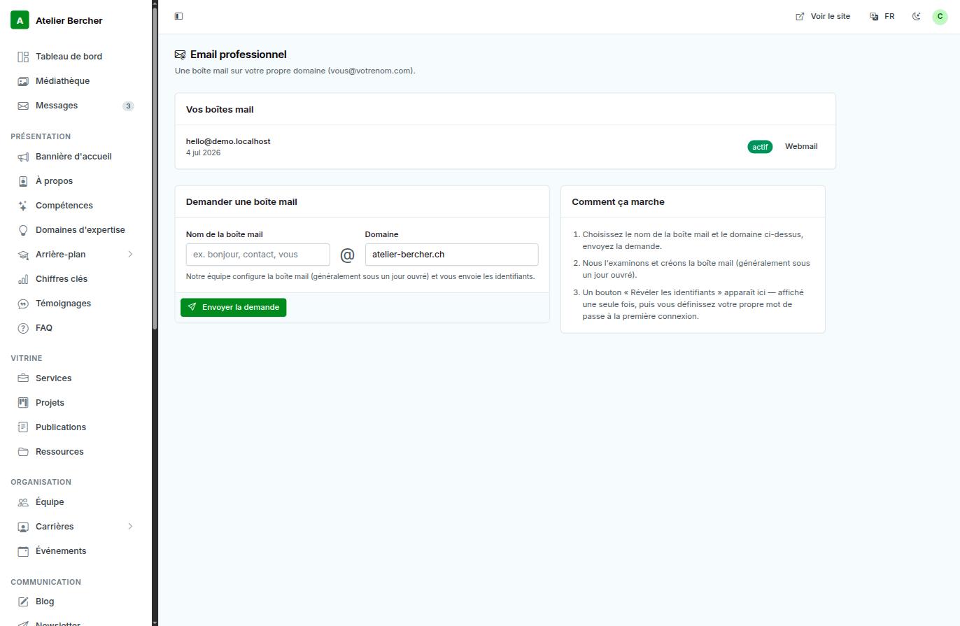 The professional email screen: your mailboxes, the request form, and the three steps explained.
